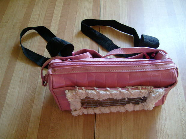 Best ideas about DIY Dog Carrier
. Save or Pin DIY Recycled Small Pet Carrier Backpack Now.
