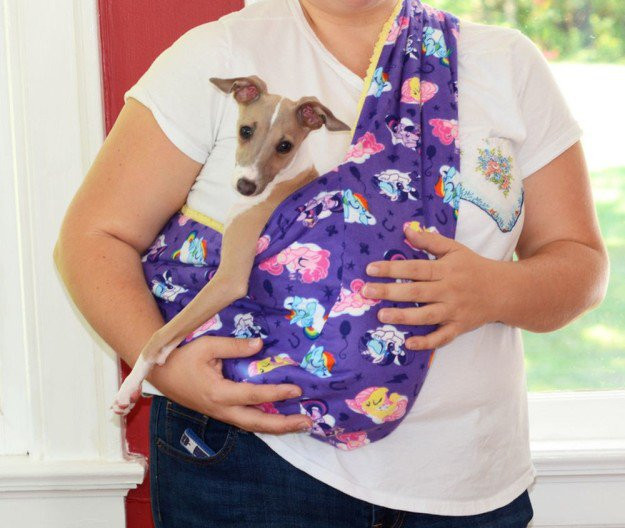 Best ideas about DIY Dog Carrier
. Save or Pin 25 Easy and Simple DIY Pet Projects Now.