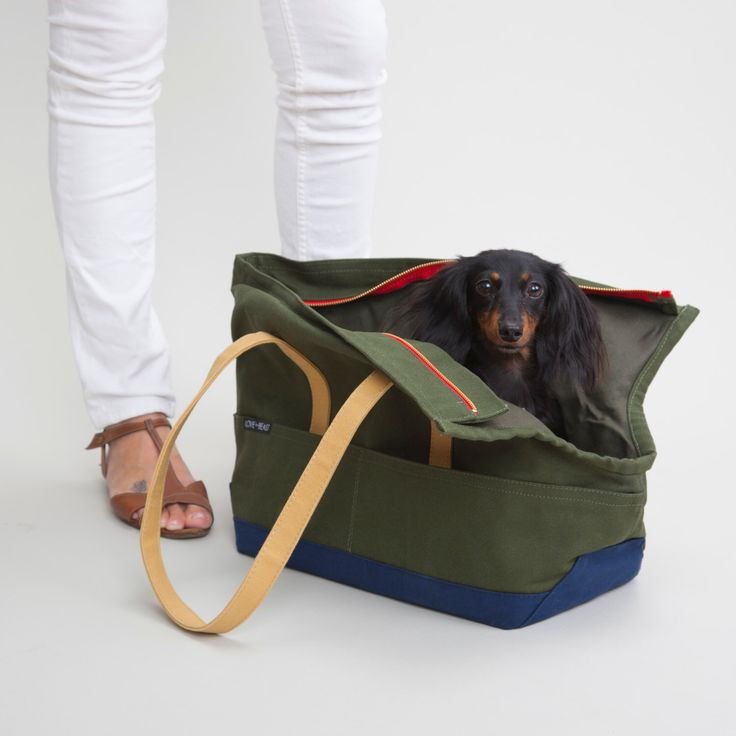 Best ideas about DIY Dog Carrier
. Save or Pin Best 20 Dog Carrier ideas on Pinterest Now.