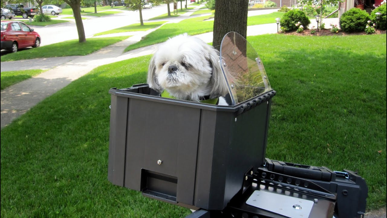 Best ideas about DIY Dog Carrier
. Save or Pin Homemade motorcycle dog carrier Now.
