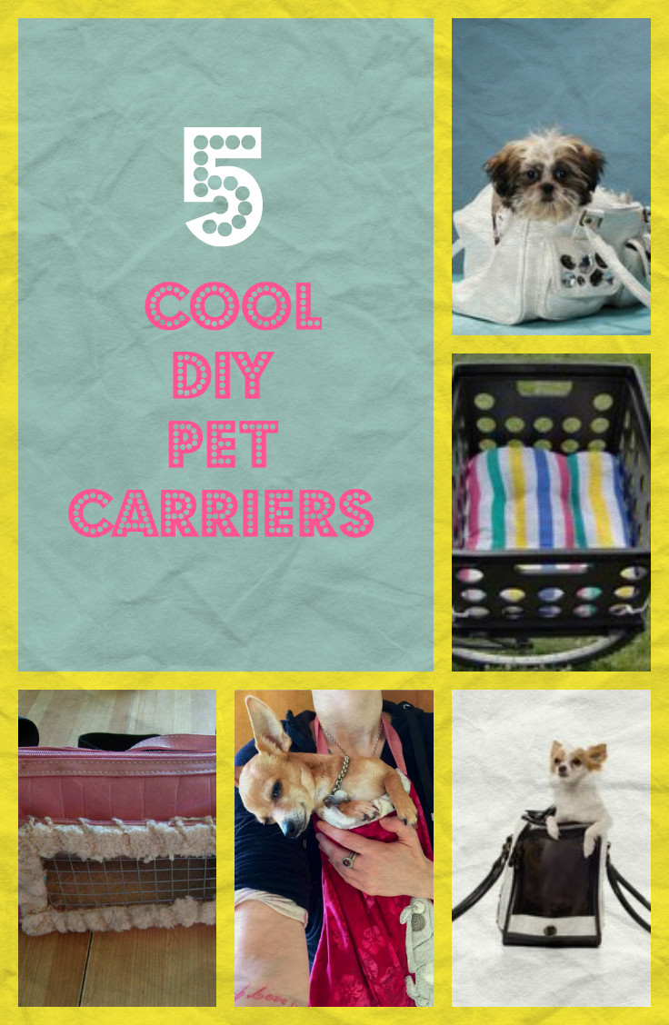 Best ideas about DIY Dog Carrier
. Save or Pin 5 Cool DIY Pet Carriers Now.