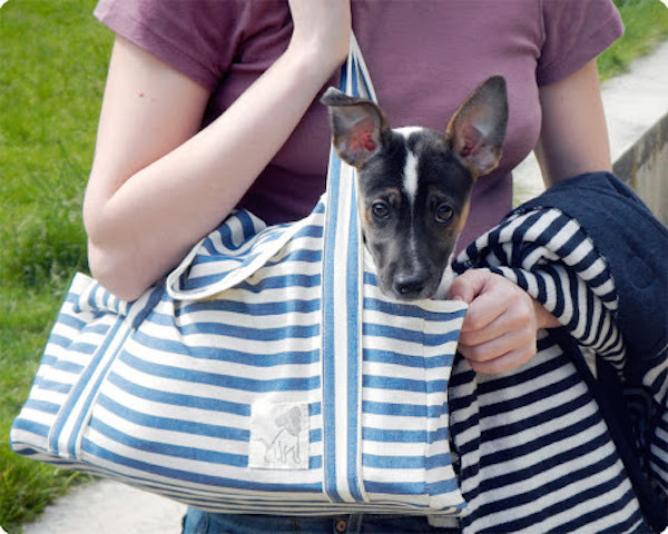 Best ideas about DIY Dog Carrier
. Save or Pin 13 DIY Dog Travel Accessories To Make Your Next Outing Now.