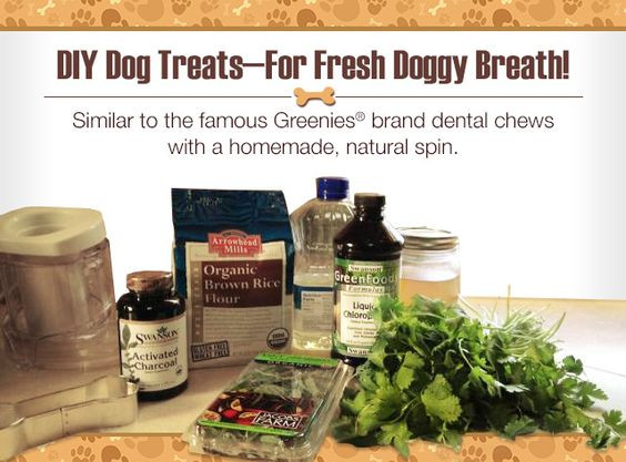 Best ideas about DIY Dog Chews
. Save or Pin DIY Dog Treats Homemade Now.