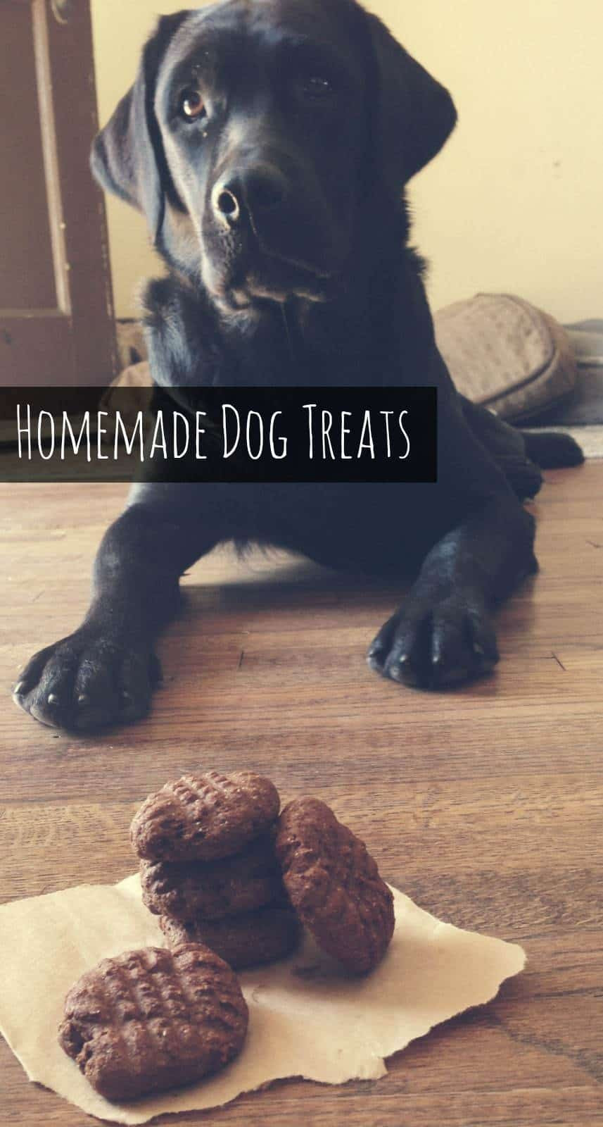 Best ideas about DIY Dog Chews
. Save or Pin Homemade Dog Treats Now.