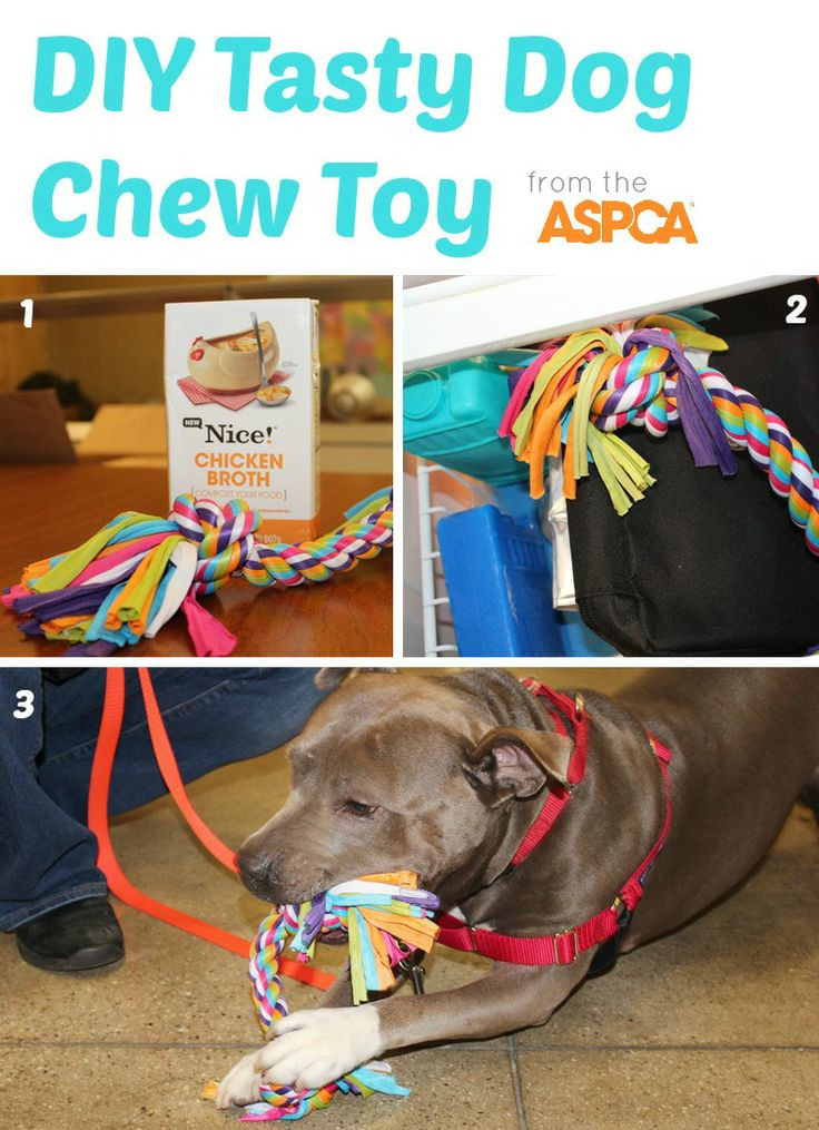 Best ideas about DIY Dog Chews
. Save or Pin 37 Homemade Dog Toys Made by DIY Pet Owners Now.