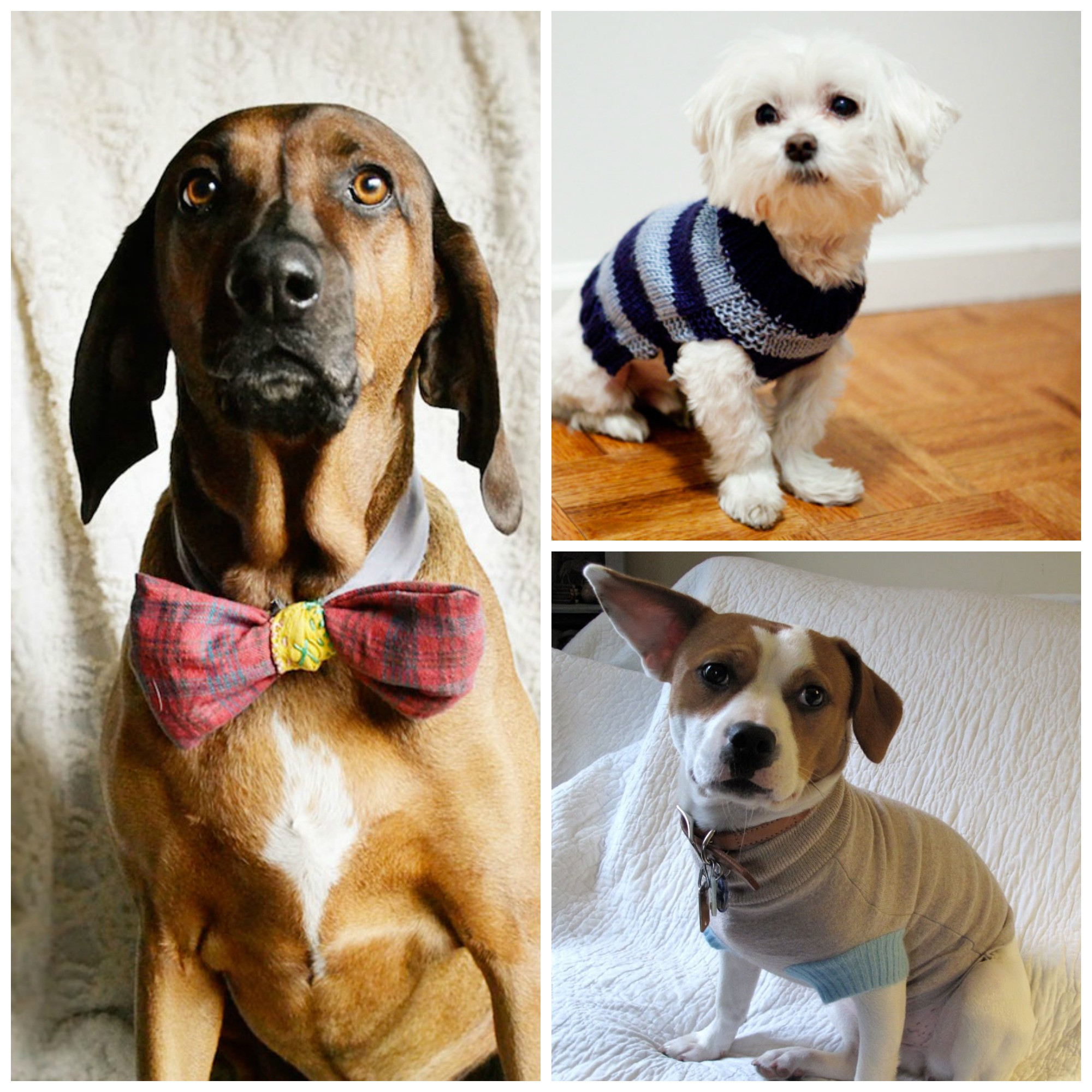Best ideas about DIY Dog Clothes
. Save or Pin DIY Dog Crafts Round Up Creativebug Blog Now.