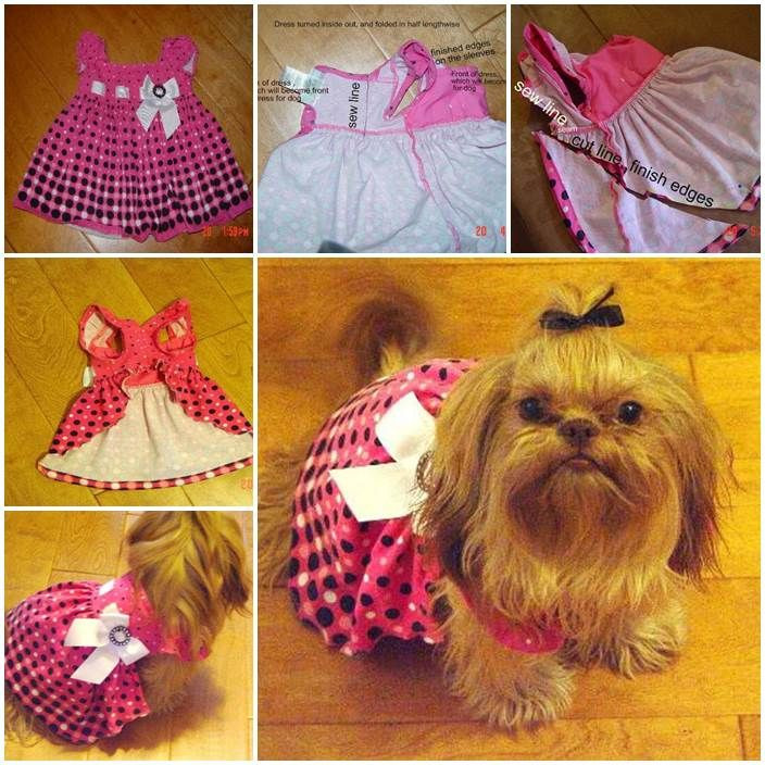 Best ideas about DIY Dog Clothes
. Save or Pin DIY Dog Dress from Baby Dress LovePetsDIY Now.