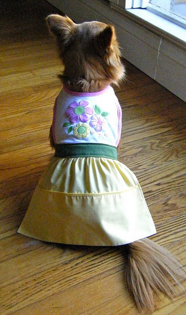 Best ideas about DIY Dog Clothes From Baby Clothes
. Save or Pin Make a Dog Dress From Recycled Baby Bib Now.