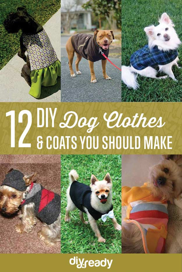 Best ideas about DIY Dog Clothes From Baby Clothes
. Save or Pin 12 DIY Dog Clothes and Coats DIY Ready Now.