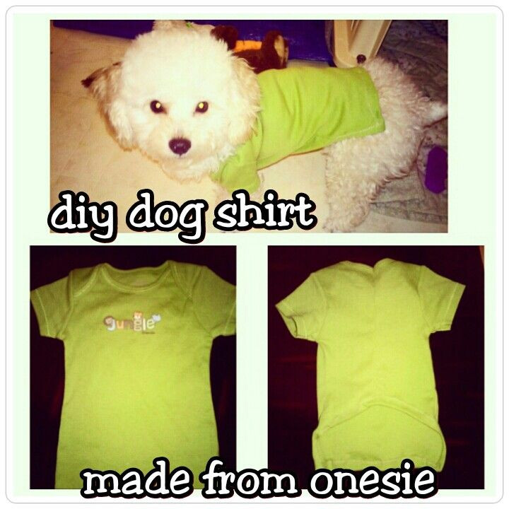 Best ideas about DIY Dog Clothes From Baby Clothes
. Save or Pin Diy dog shirt Used a baby onesie Upcycle baby clothes Now.