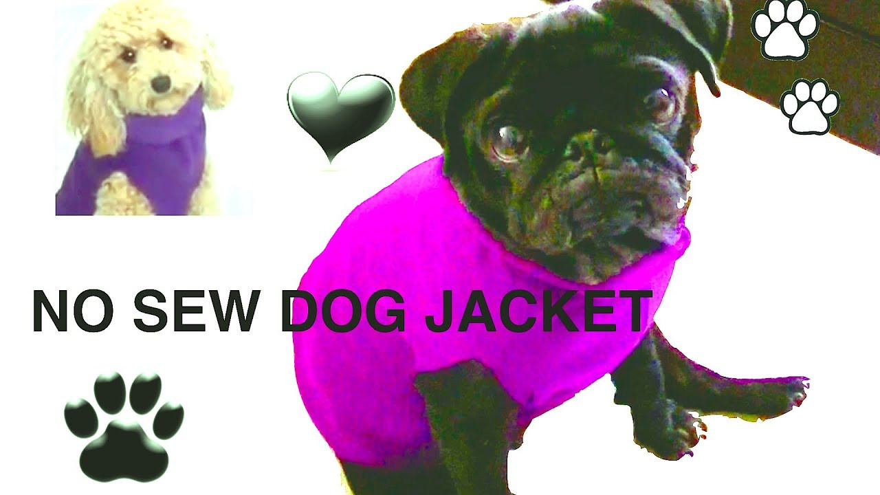 Best ideas about DIY Dog Clothes From Baby Clothes
. Save or Pin NO SEW DOG JACKET DIY Dog clothes a tutorial by Now.