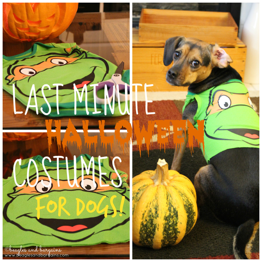 Best ideas about DIY Dog Clothes From Baby Clothes
. Save or Pin Last Minute DIY Dog Halloween Costumes from Baby esies Now.