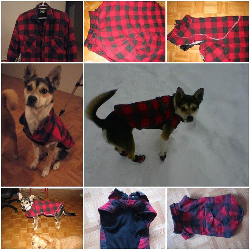 Best ideas about DIY Dog Clothes From Old Shirts
. Save or Pin DIY Dog Winter Jacket from Old Shirt Now.