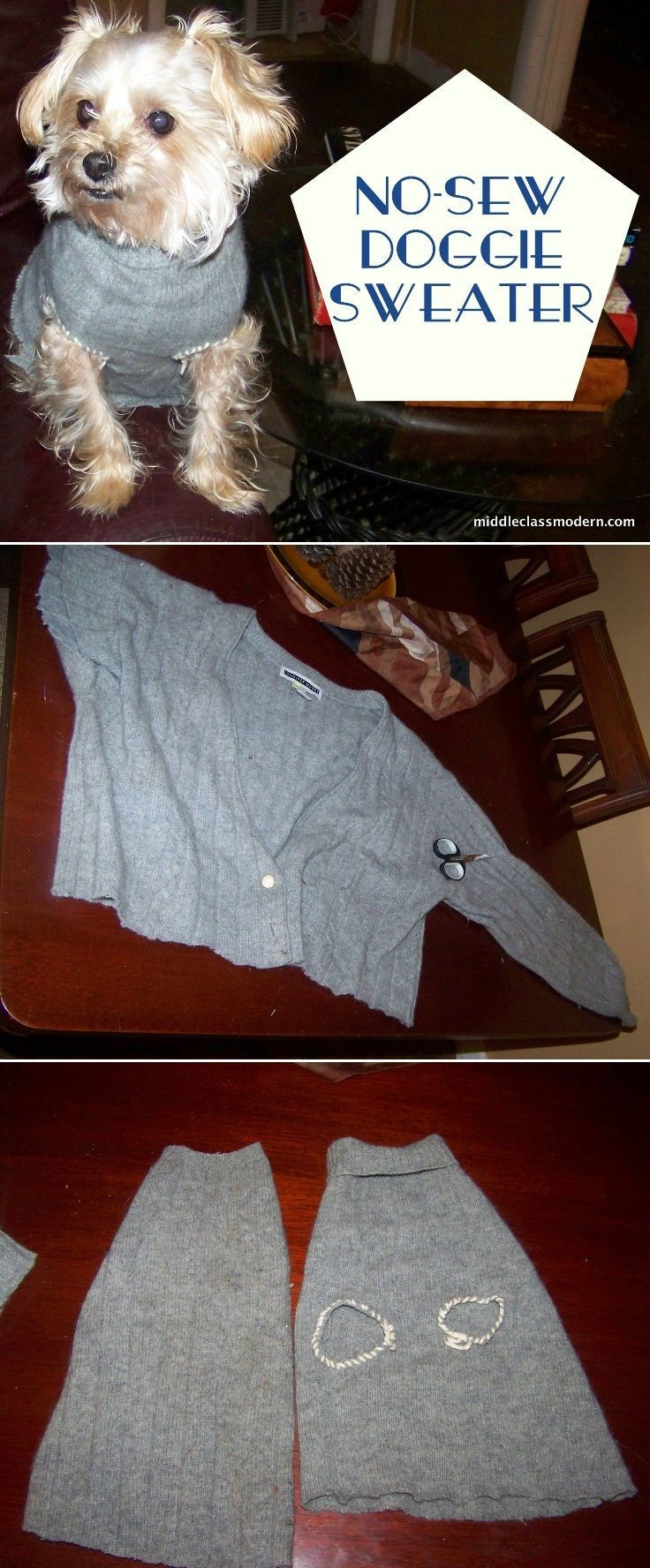 Best ideas about DIY Dog Clothes From Old Shirts
. Save or Pin A No Sew Dog Sweater Cute DIY Pet Clothes sewing Now.