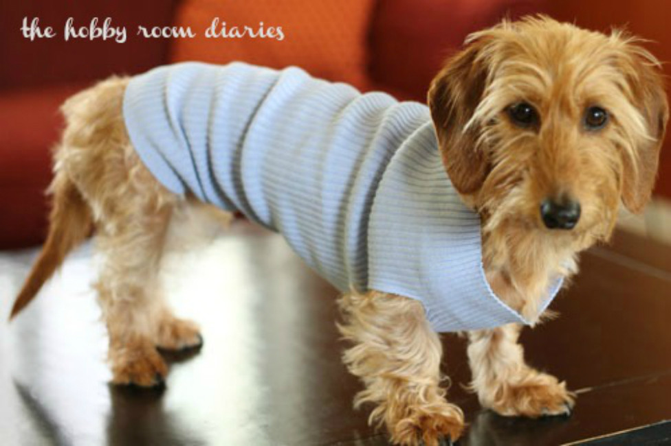 Best ideas about DIY Dog Clothes From Old Shirts
. Save or Pin Adorable Dog Clothes to Make for Your Favourite Pooch Now.