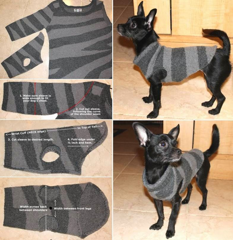 Best ideas about DIY Dog Clothes From Old Shirts
. Save or Pin How to Make a Sweater for Your Dog NO SEW DIY Craft Now.