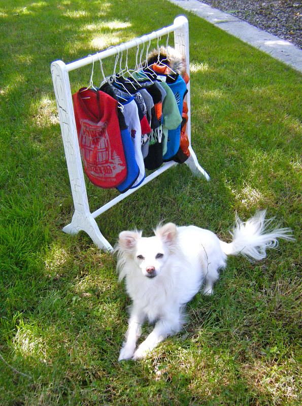 Best ideas about DIY Dog Clothes
. Save or Pin Sew DoggyStyle DIY Clothes Rack Now.