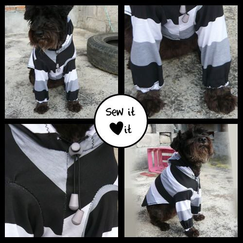 Best ideas about DIY Dog Clothes No Sew
. Save or Pin 35 DIY Dog Coats Now.