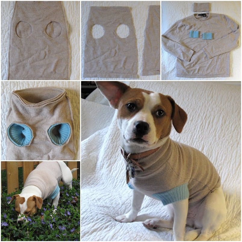 Best ideas about DIY Dog Clothes No Sew
. Save or Pin DIY Upcycle old Sweater into Cute Pet Clothes Now.