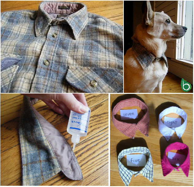 Best ideas about DIY Dog Clothes No Sew
. Save or Pin Diy Dog Clothes No Sew Now.