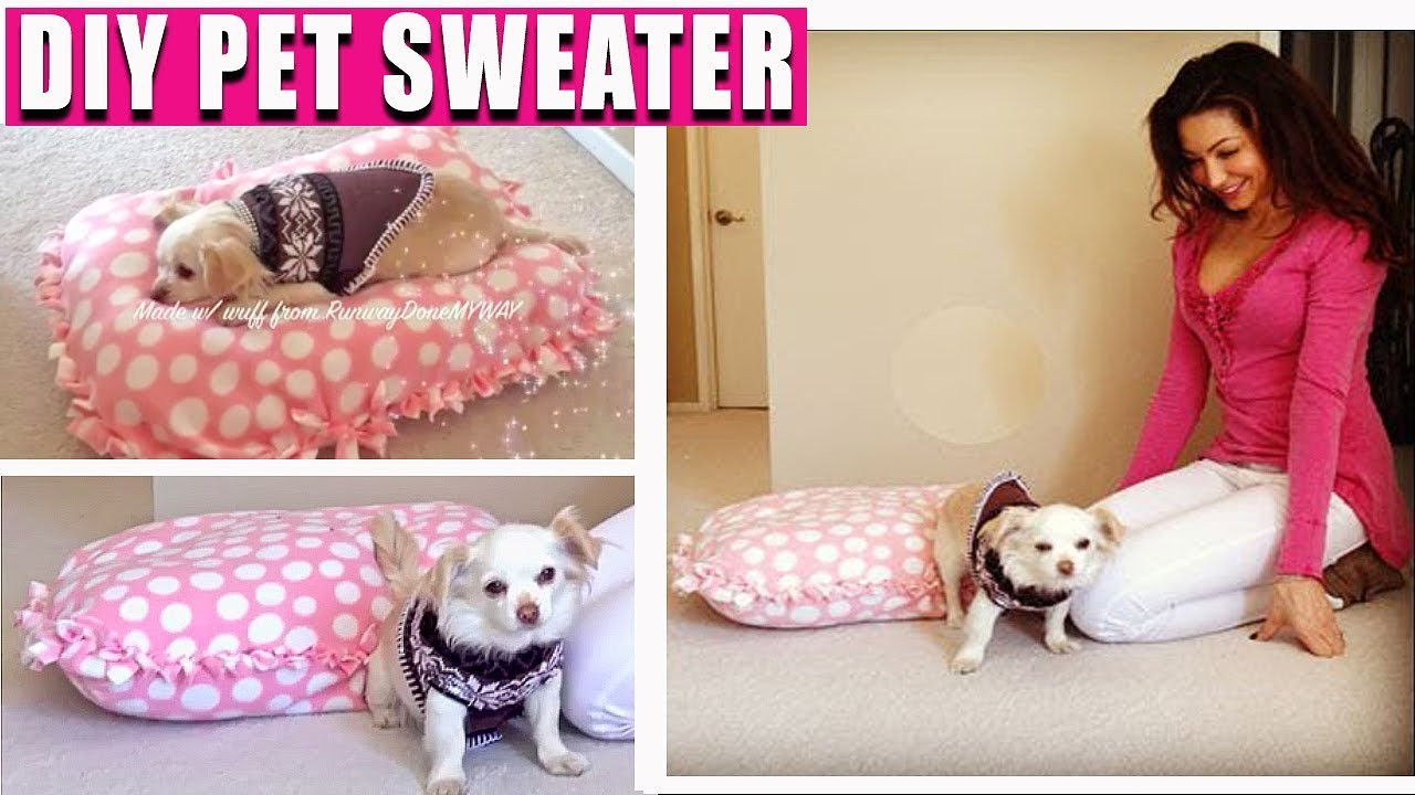 Best ideas about DIY Dog Clothes No Sew
. Save or Pin DIY Dog Bed DIY Dog Sweater Easy Now.