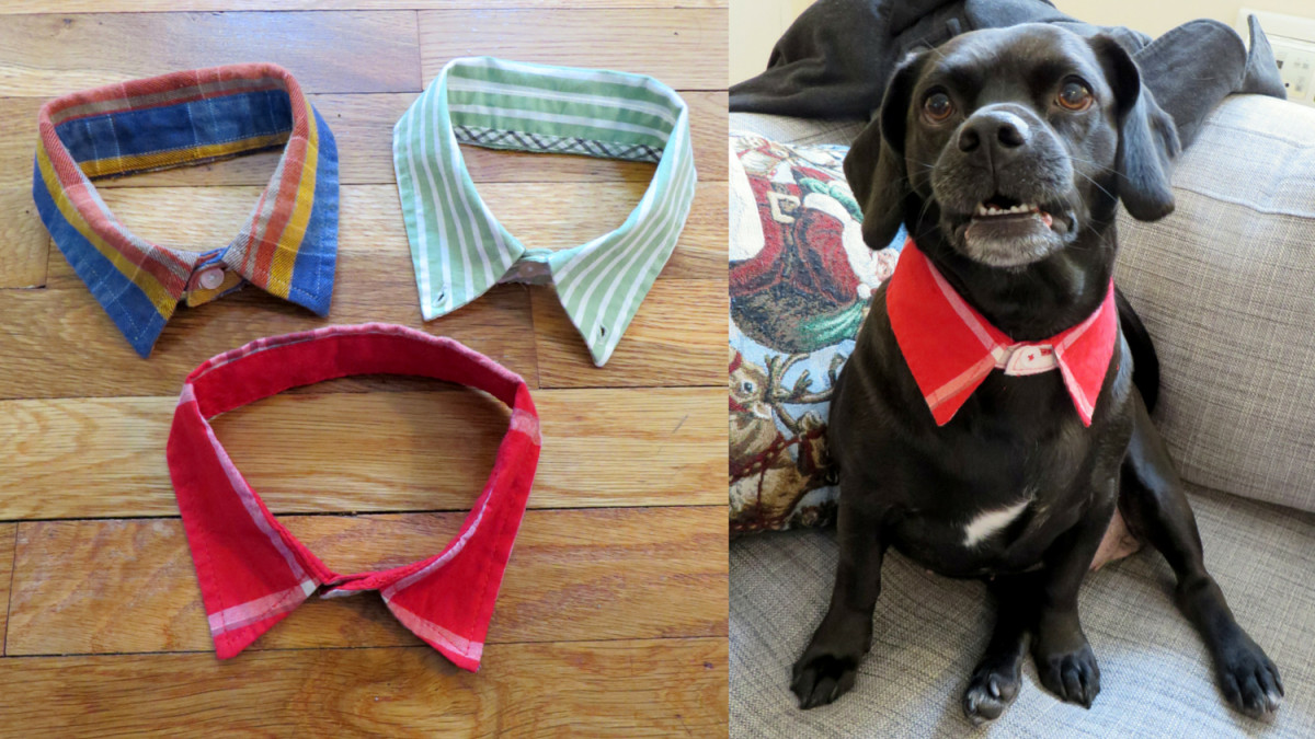 Best ideas about DIY Dog Clothes No Sew
. Save or Pin DIY Doggie Dress Shirt Collar – The Cheerful Times Now.