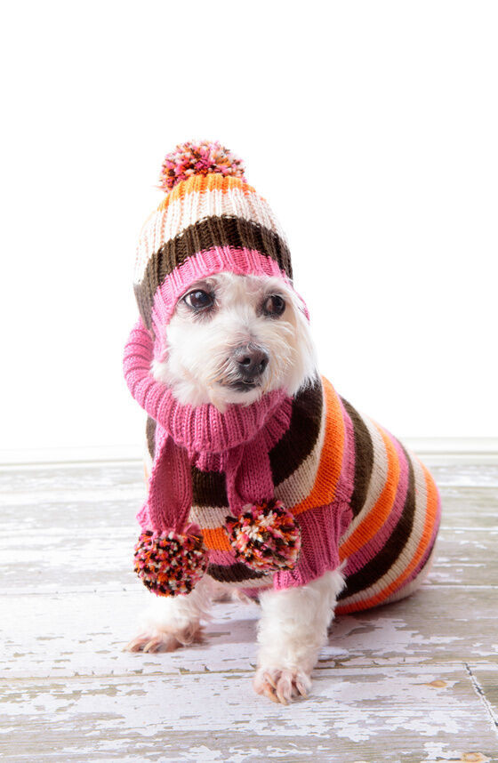 Best ideas about DIY Dog Clothes No Sew
. Save or Pin DIY No sew Dog Clothes Now.