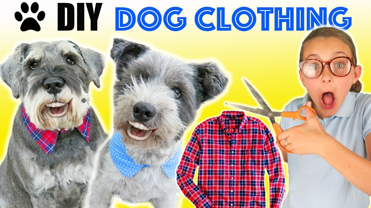 Best ideas about DIY Dog Clothing
. Save or Pin How To Make DIY Funny Upcycled Dog Clothes Now.