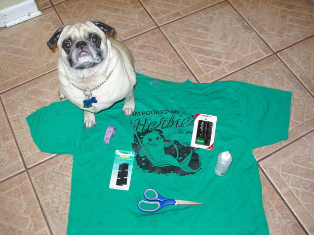 Best ideas about DIY Dog Clothing
. Save or Pin Doggie T Shirt 10 Steps with Now.