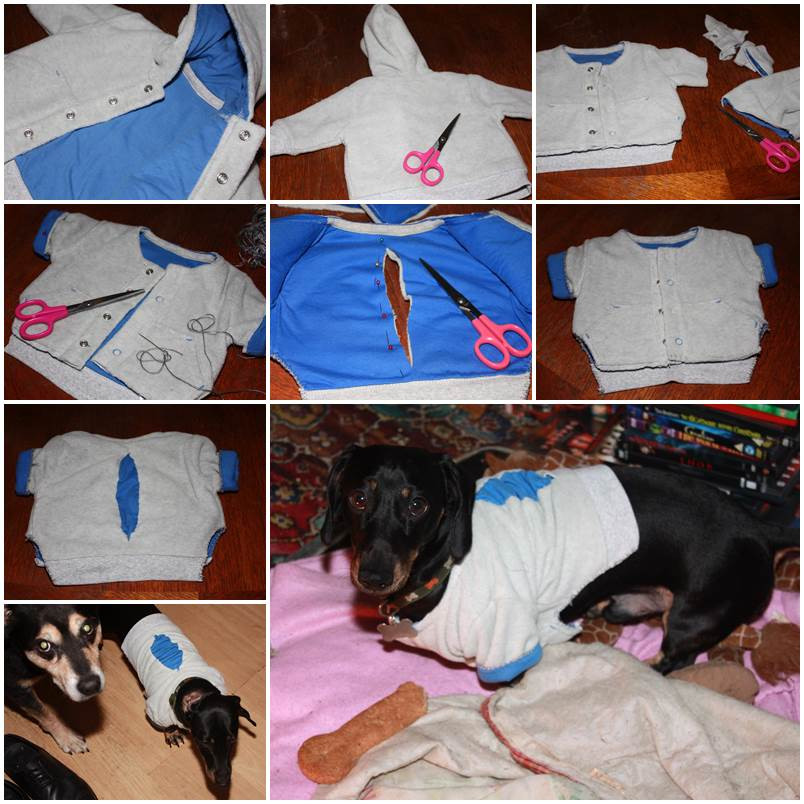 Best ideas about DIY Dog Clothing
. Save or Pin DIY Sweater Dog Clothes Now.