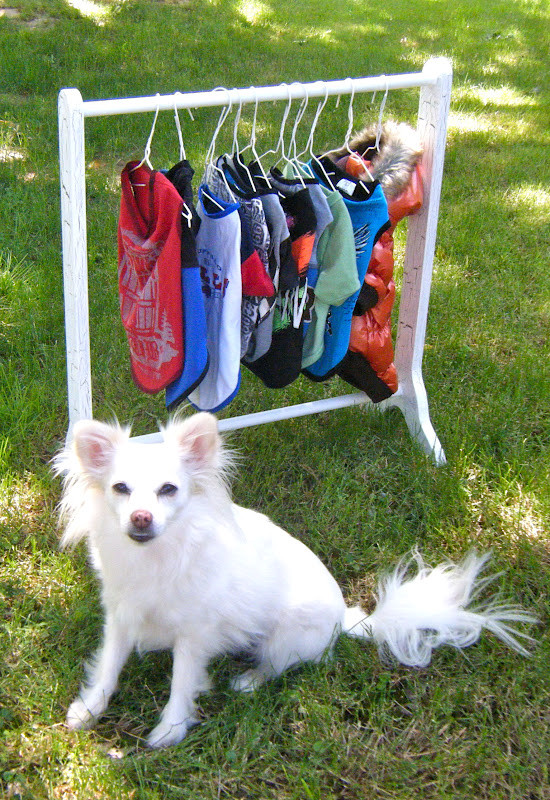 Best ideas about DIY Dog Clothing
. Save or Pin Sew DoggyStyle DIY Clothes Rack Now.