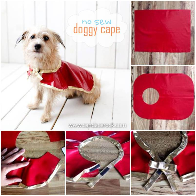 Best ideas about DIY Dog Coat No Sew
. Save or Pin DIY Cute Pink Dog Dress Now.