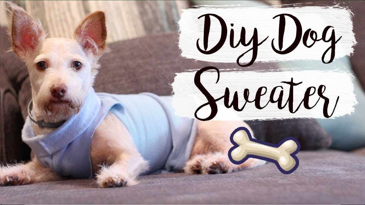 Best ideas about DIY Dog Coat No Sew
. Save or Pin Easy DIY Dog Sweater No Sew Now.
