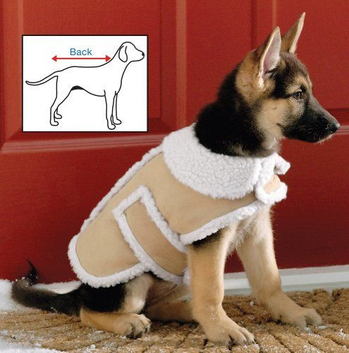 Best ideas about DIY Dog Coat No Sew
. Save or Pin No Sew Dog Jacket DIY Dog Clothing Ideas Now.