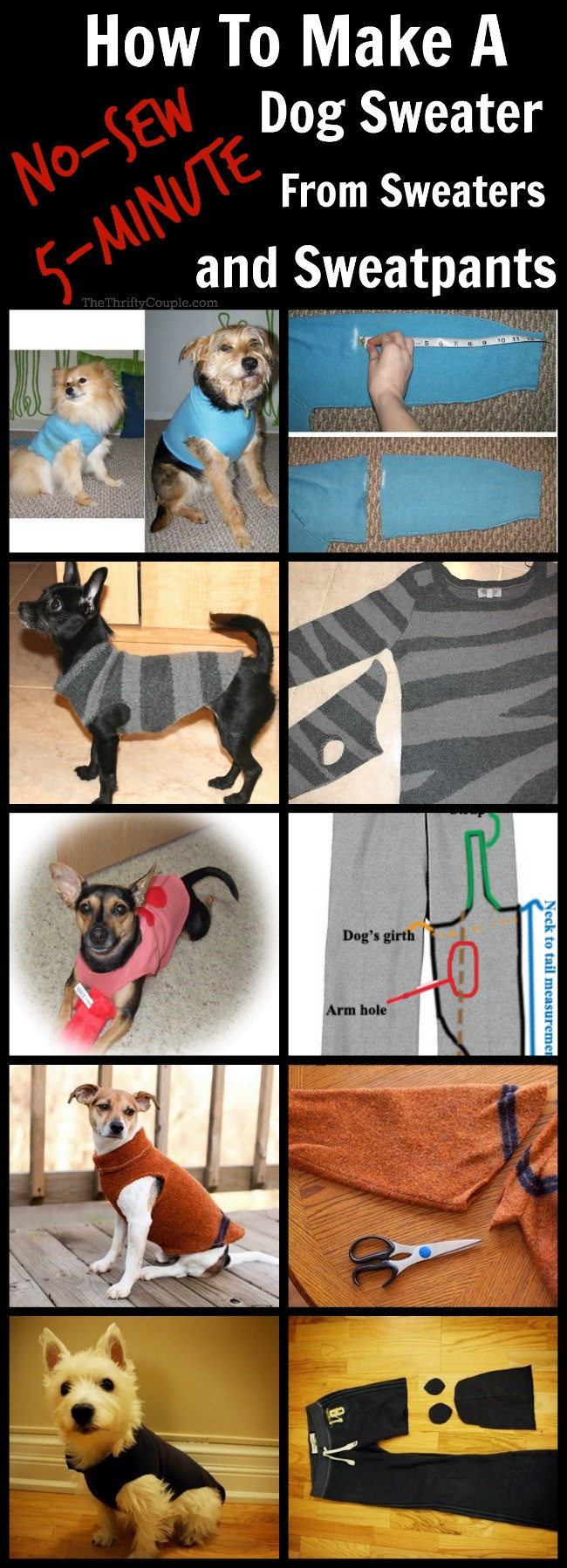 Best ideas about DIY Dog Coat No Sew
. Save or Pin How To Turn Old Sweaters and Sweatpants Into No Sew Dog Now.