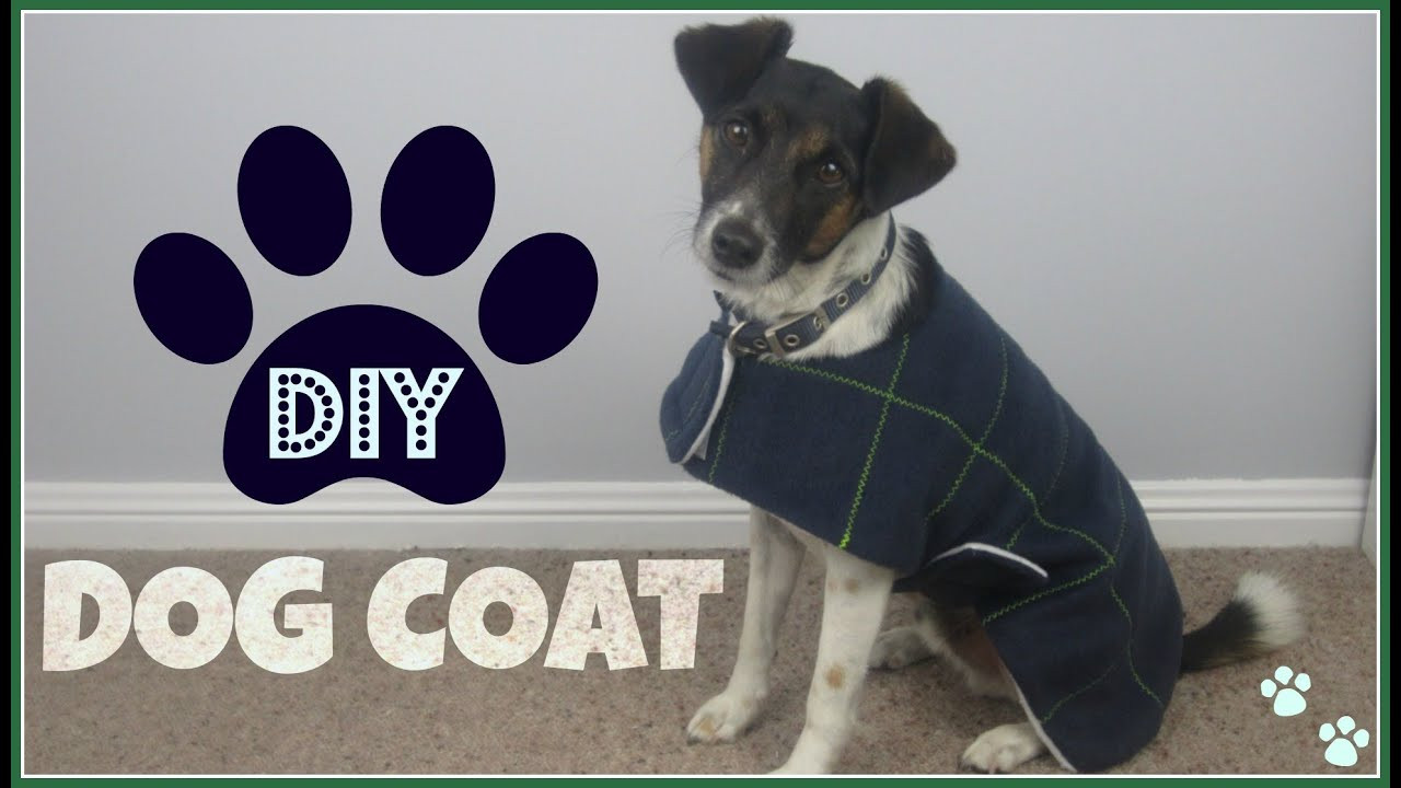 Best ideas about DIY Dog Coat No Sew
. Save or Pin Step by Step Sewing DIY Dog Coat Now.