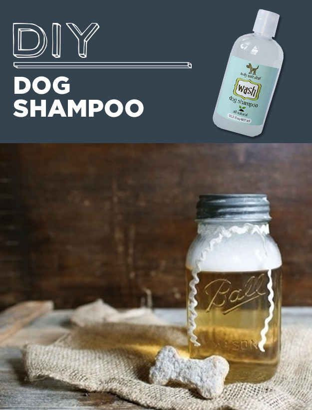 Best ideas about DIY Dog Conditioner
. Save or Pin Diy dog shampoo DIY and crafts and Skin care on Pinterest Now.