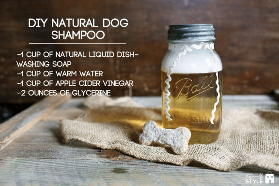 Best ideas about DIY Dog Conditioner
. Save or Pin DIY Natural Dog Shampoo Gimme Some Style Now.