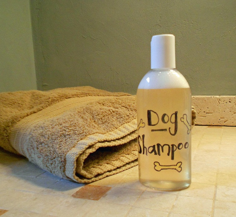 Best ideas about DIY Dog Conditioner
. Save or Pin DIY Homemade Shampoos for Dogs Going EverGreen Now.