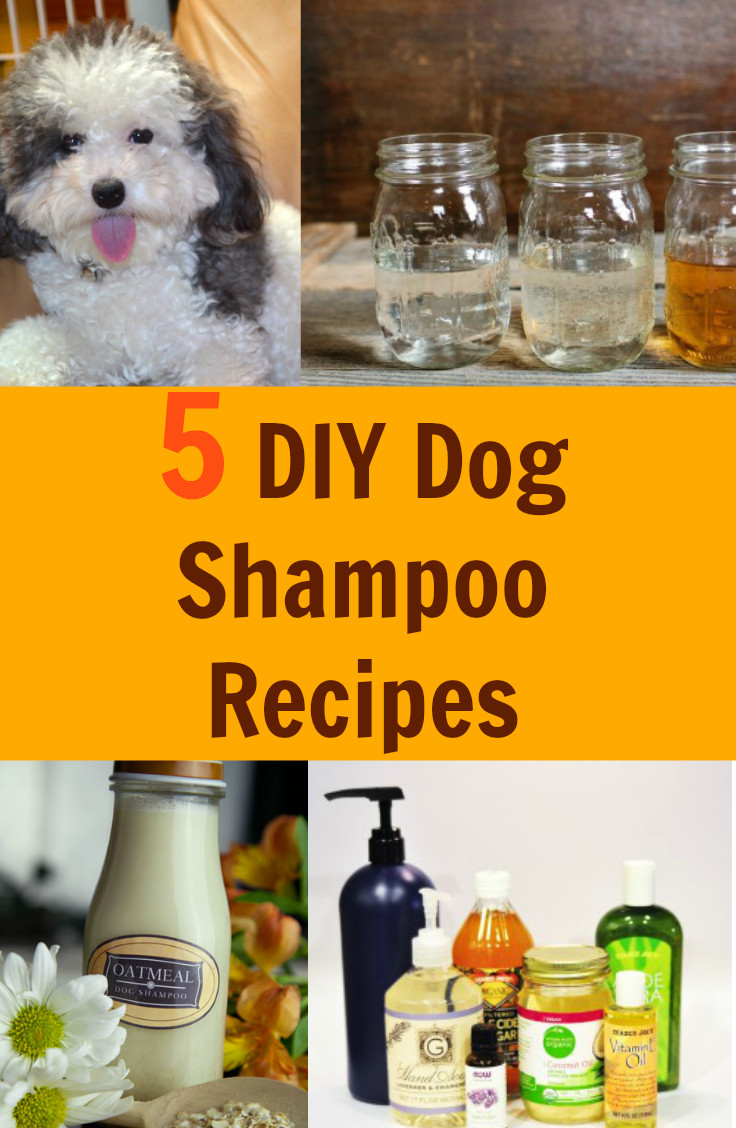 Best ideas about DIY Dog Conditioner
. Save or Pin 5 DIY Dog Shampoo Recipes Fabulessly Frugal Now.