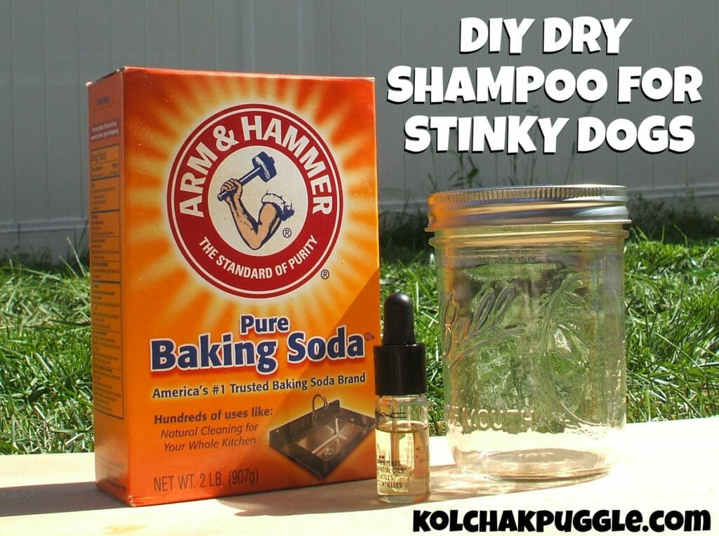 Best ideas about DIY Dog Conditioner
. Save or Pin Got A Stinky Dog This DIY Dry Dog Shampoo Can Help Kol Now.