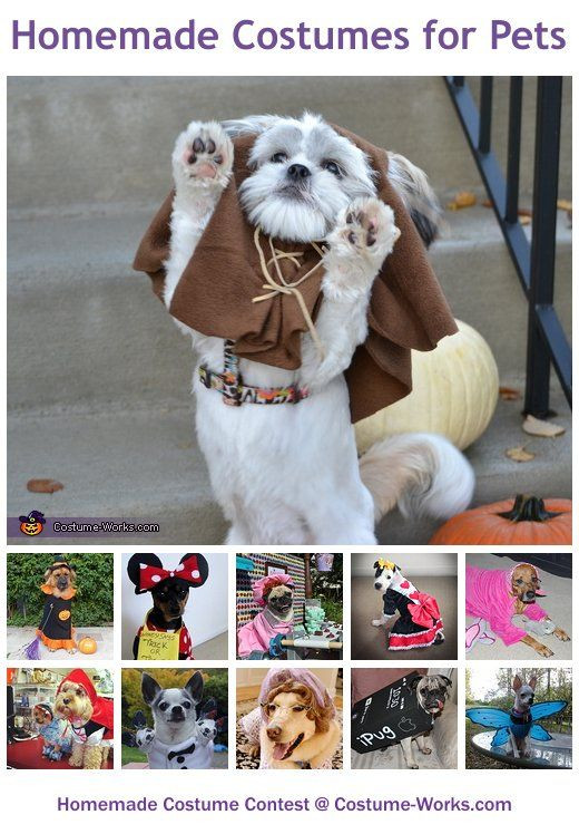 Best ideas about DIY Dog Costumes
. Save or Pin Homemade Costumes for Pets Now.