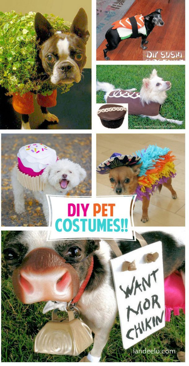 Best ideas about DIY Dog Costumes For Kids
. Save or Pin Adorable DIY Pet Costumes Now.