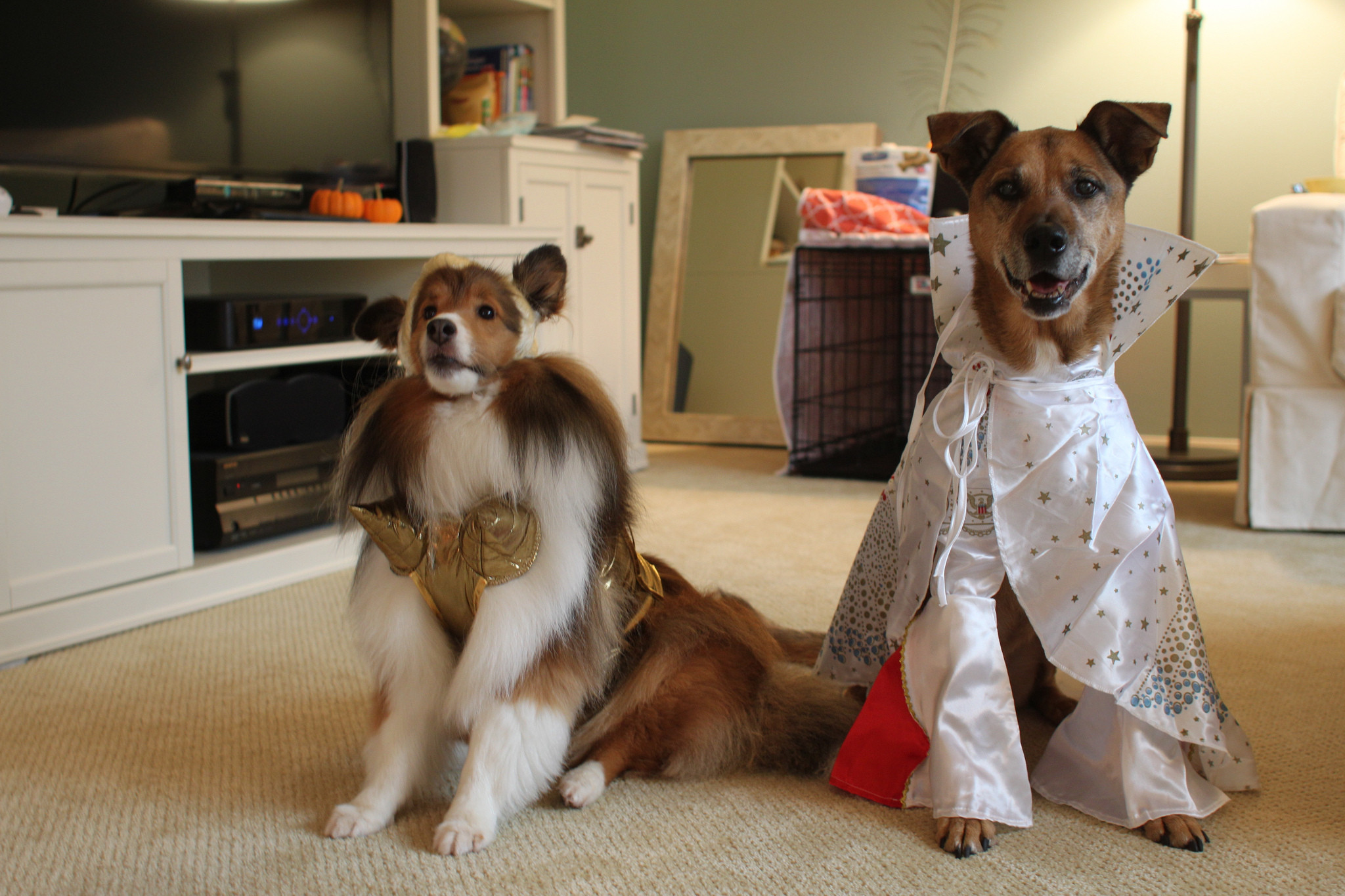 Best ideas about DIY Dog Costumes
. Save or Pin DIY Dog Costumes for All Shapes and Sizes Now.