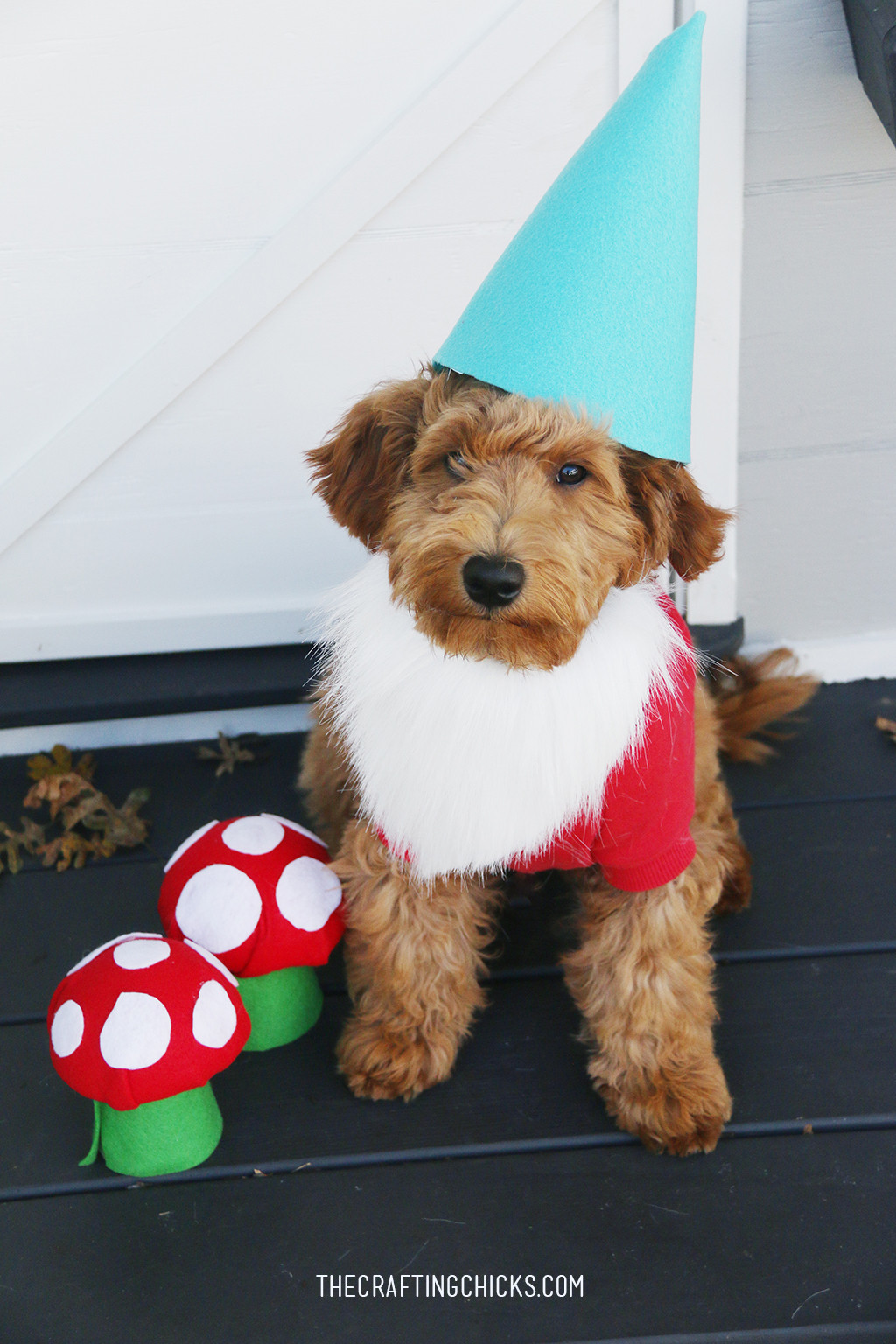 Best ideas about DIY Dog Costumes
. Save or Pin DIY Dog Costume Garden Gnome The Crafting Chicks Now.