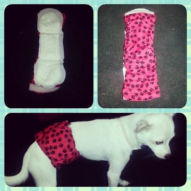 Best ideas about DIY Dog Diaper
. Save or Pin 79 best images about Dog Nappies Diapers on Pinterest Now.