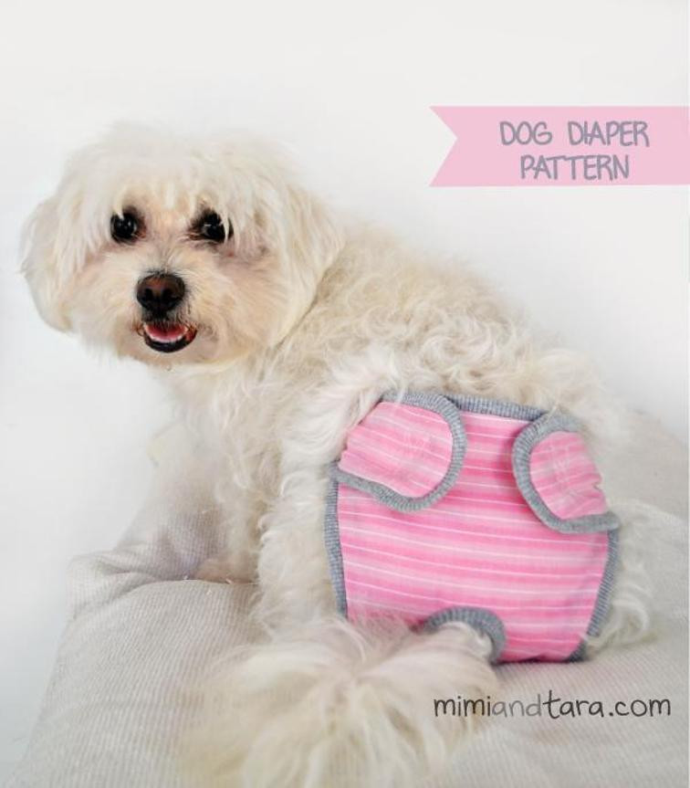 Best ideas about DIY Dog Diaper
. Save or Pin 8 Sweet Sewing Patterns for Dogs Now.