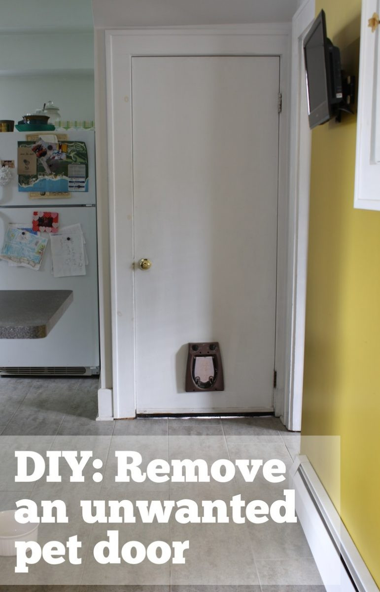 Best ideas about DIY Dog Door In Wall
. Save or Pin How to patch a hole in a hollow door Now.