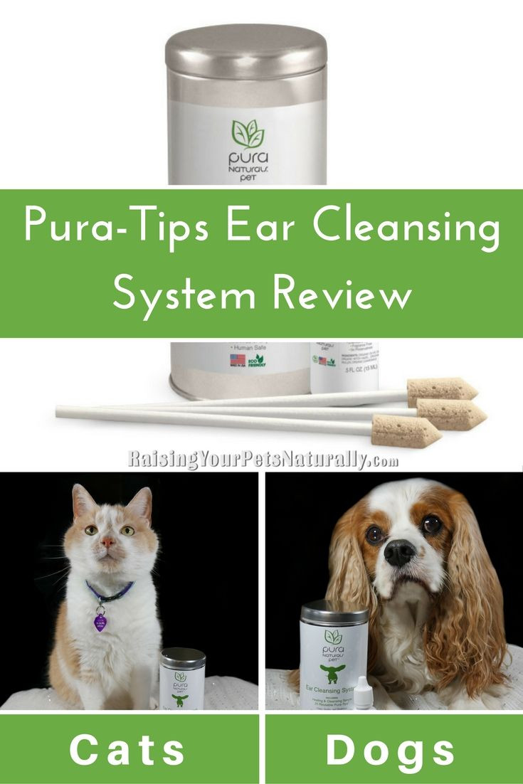 Best ideas about DIY Dog Ear Wash
. Save or Pin 1000 ideas about Dog Ear Cleaner on Pinterest Now.