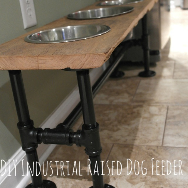 Best ideas about DIY Dog Feeder
. Save or Pin Hometalk Now.